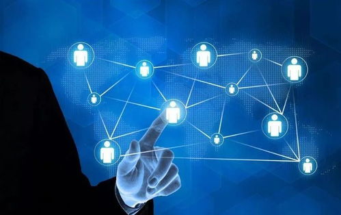 科技型中小企業(yè)評(píng)價(jià) 解鎖多重政策紅利，賦能網(wǎng)絡(luò)科技企業(yè)加速成長(zhǎng)